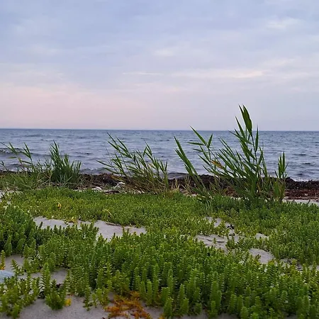 10 Person In Haderslev-by Traum